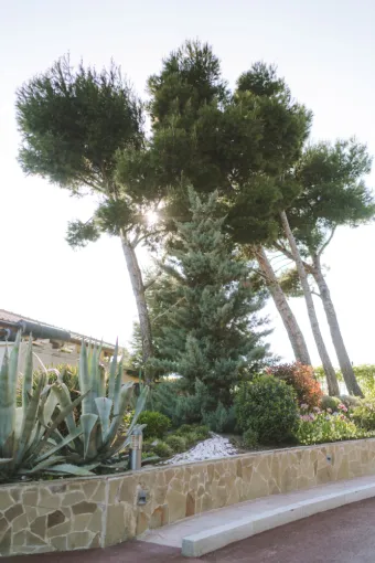 Création de massifs et engazonnement à Royan, Royan, AJ MULTISERVICES