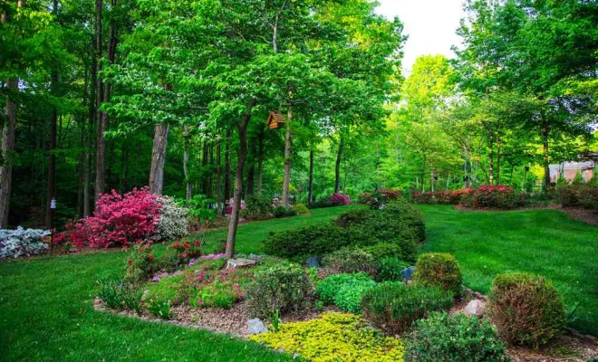 Entretien de jardin annuel, Royan, AJ MULTISERVICES