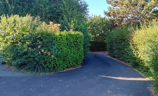 Entretien et taille de haie jardin maison à Saint-Nazaire-sur-Charente, Royan, AJ MULTISERVICES