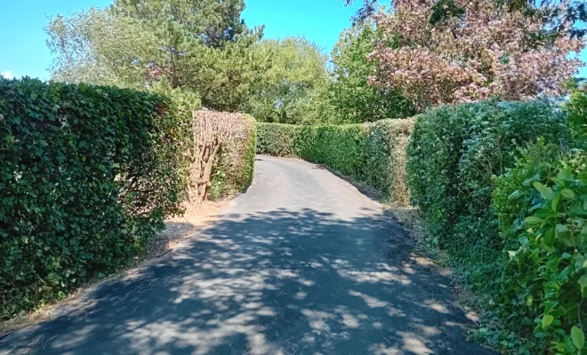 Entretien et taille de haie jardin maison à Saint-Nazaire-sur-Charente, Royan, AJ MULTISERVICES