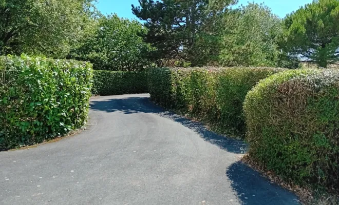 Entretien et taille de haie jardin maison à Saint-Nazaire-sur-Charente, Royan, AJ MULTISERVICES