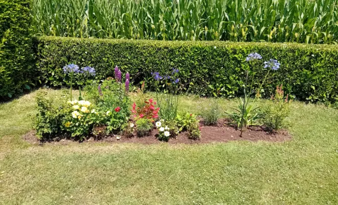 Nettoyage de massifs, Royan, AJ MULTISERVICES