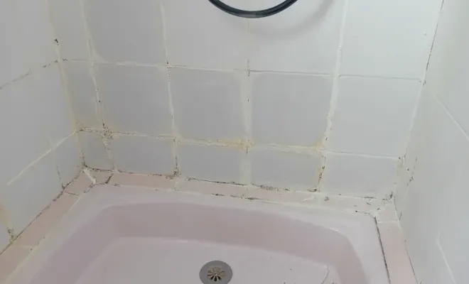 Avant nettoyage de la douche