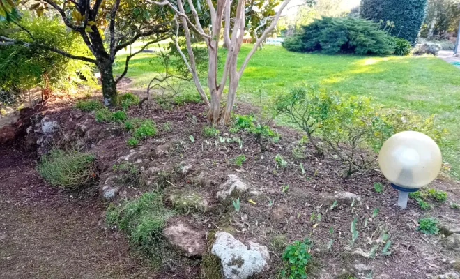 Nettoyage de massifs, Royan, AJ MULTISERVICES