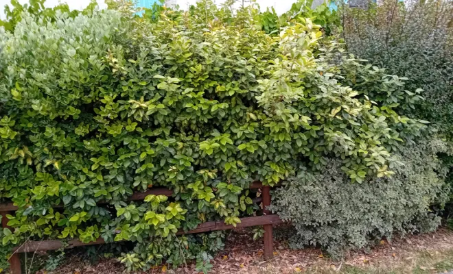 Entretien d'un gîte, Mornac sur Seudre, AJ MULTISERVICES