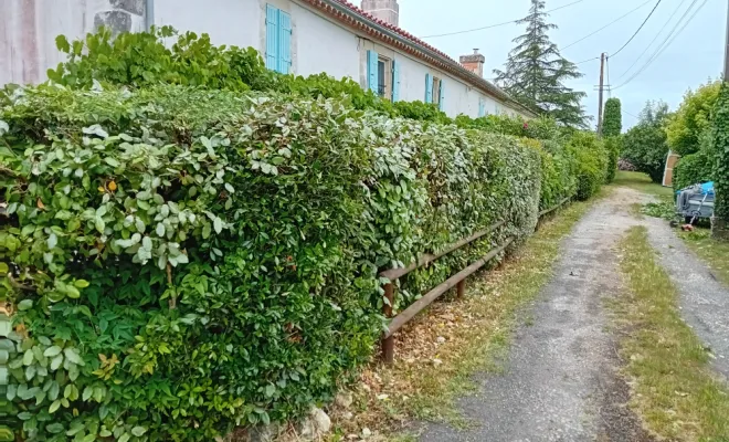 Après le long du chemin
