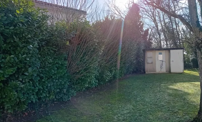 Taille de haie, Royan, AJ MULTISERVICES