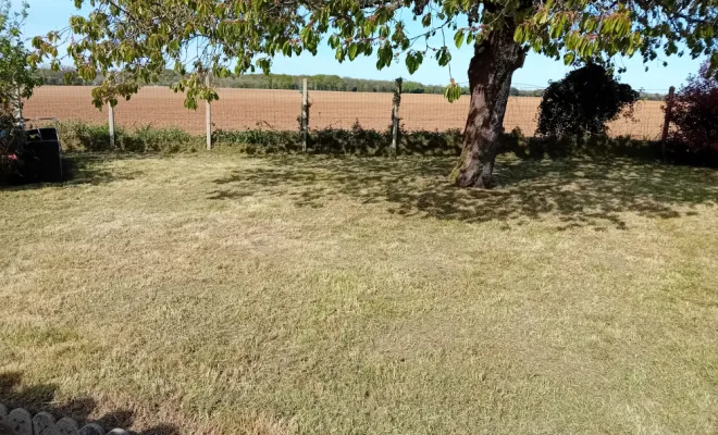 Entretien de jardin, Royan, AJ MULTISERVICES