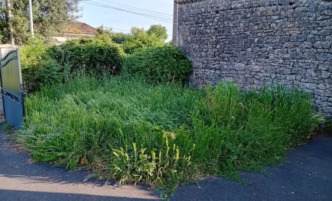 Etat initial de la zone avant les travaux d'aménagement paysager