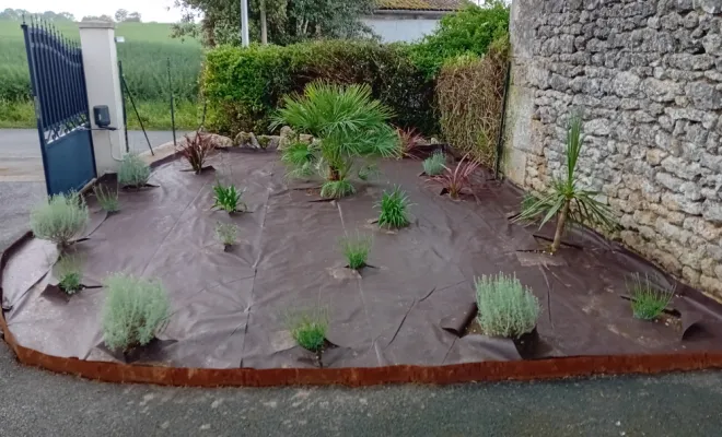 Pose d'une toile de paillage et plantations d'ornement
