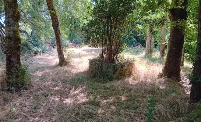 Avant l'entretien du parc