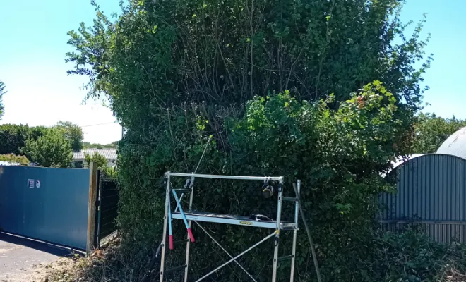 Avant hauteur 4 à 5 m environ