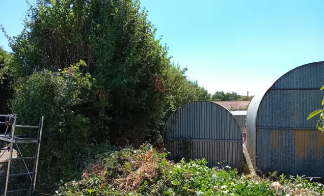 30 mètre millénaire